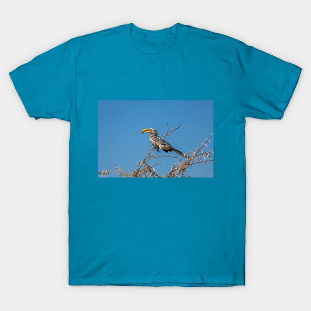 Namibia. Etosha National Park. Southern Yellow-Billed Hornbill. T-Shirt by vadim19